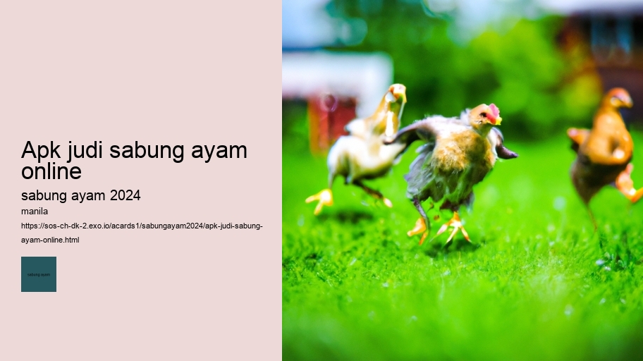 apk judi sabung ayam online