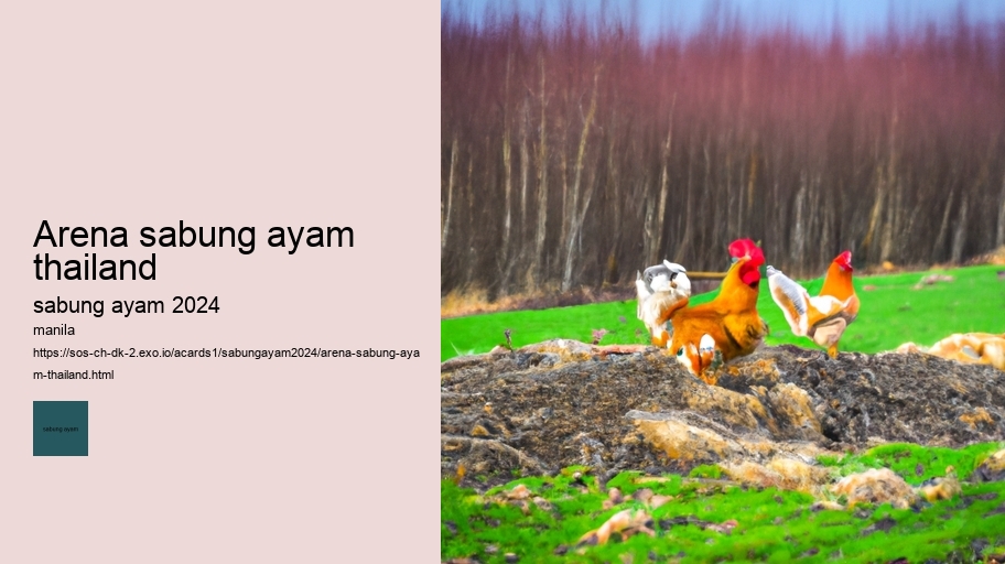 arena sabung ayam thailand