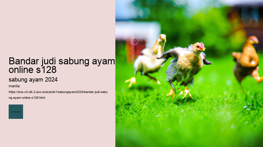 bandar judi sabung ayam online s128