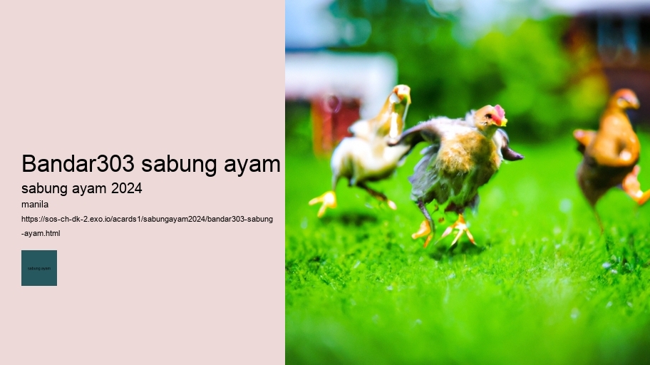 bandar303 sabung ayam