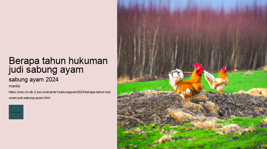 berapa tahun hukuman judi sabung ayam