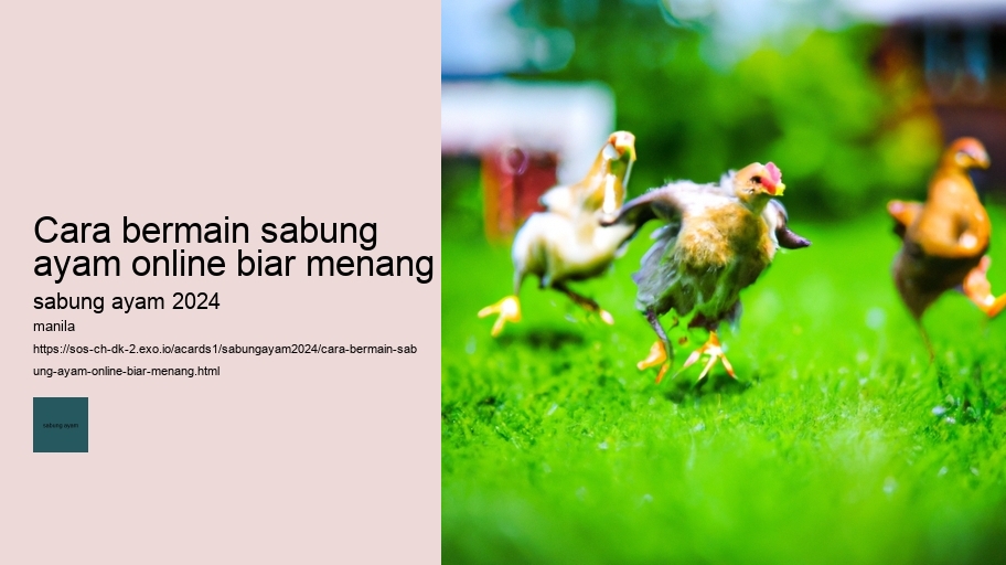 cara bermain sabung ayam online biar menang