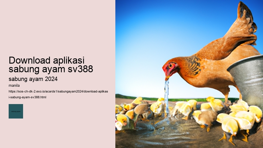 download aplikasi sabung ayam sv388