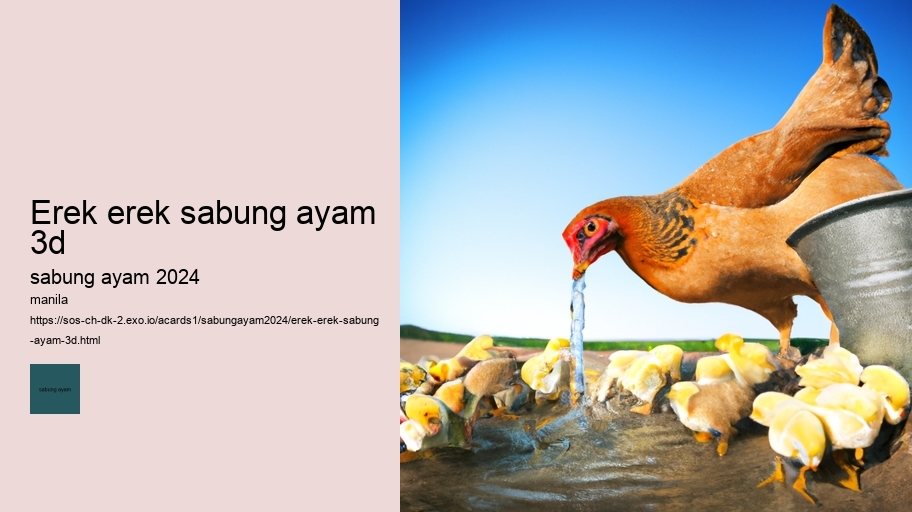 erek erek sabung ayam 3d