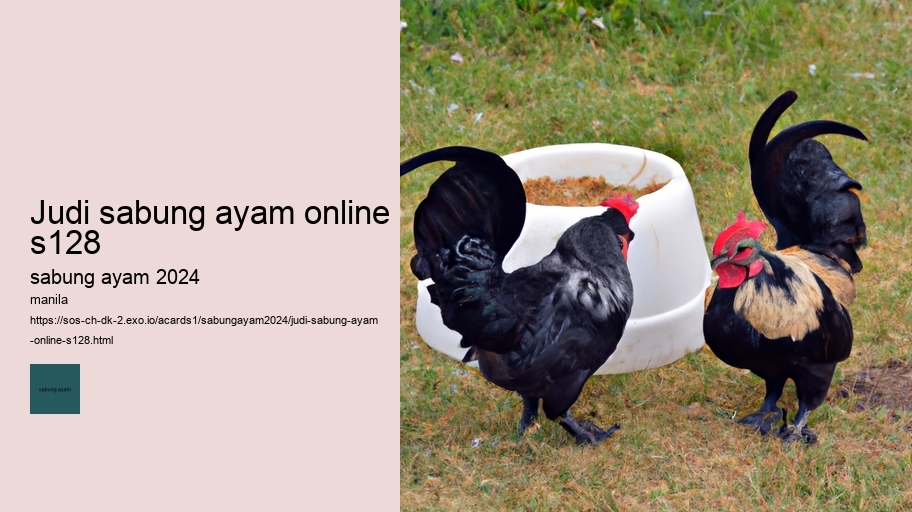 judi sabung ayam online s128
