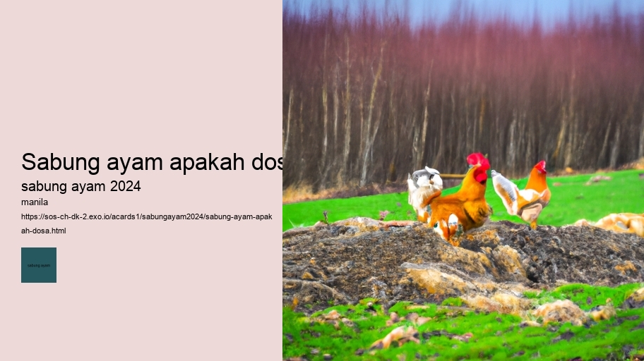 sabung ayam apakah dosa