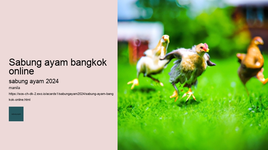 sabung ayam bangkok online