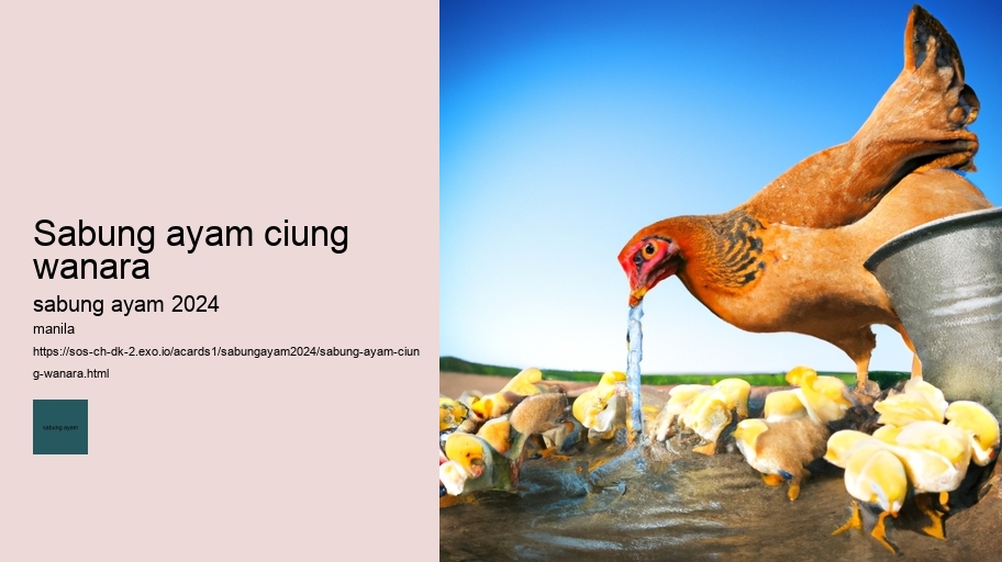 sabung ayam ciung wanara