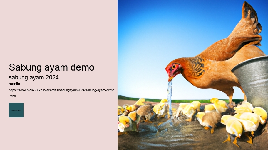 sabung ayam demo