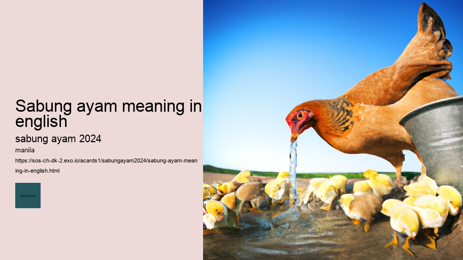 sabung ayam meaning in english