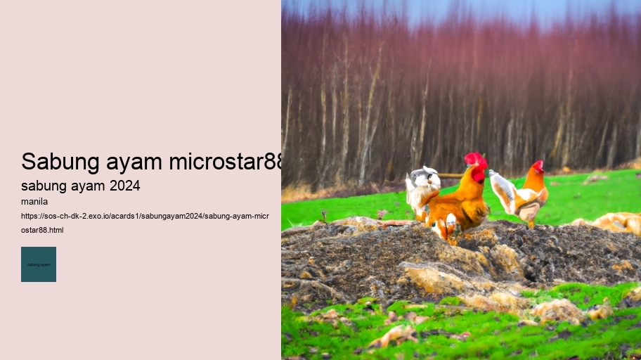 sabung ayam microstar88
