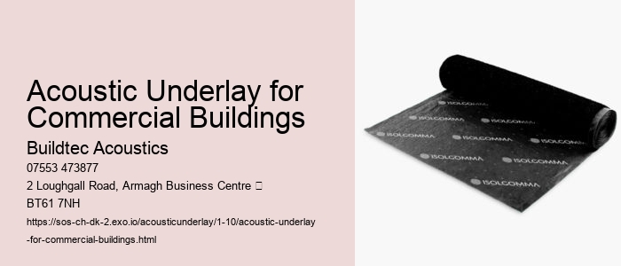 Practical Applications of Acoustic Underlays in Various Spaces