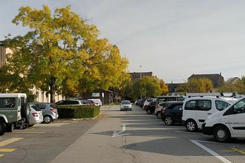 Photo : Michael Hartwell