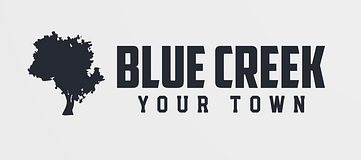 Blue Creek Participatory Budget (Back home)