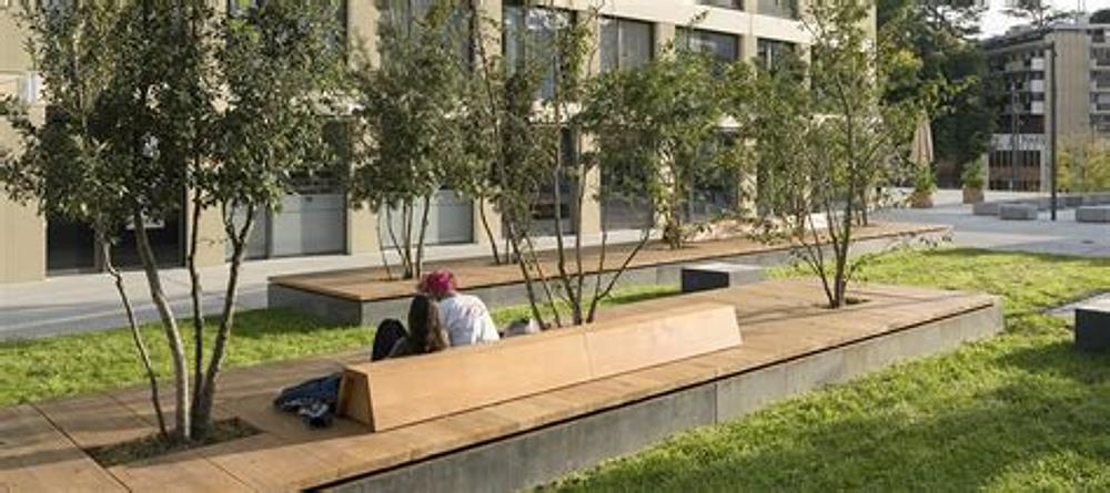 Image média: Concertation Nathalie