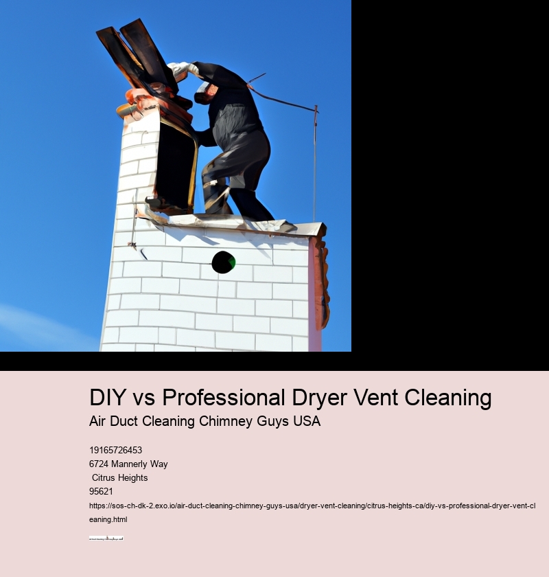 DIY vs Professional Dryer Vent Cleaning