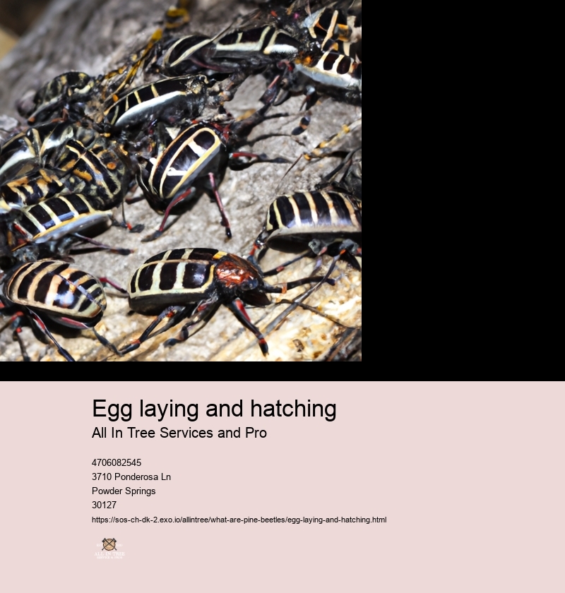 Egg laying and hatching