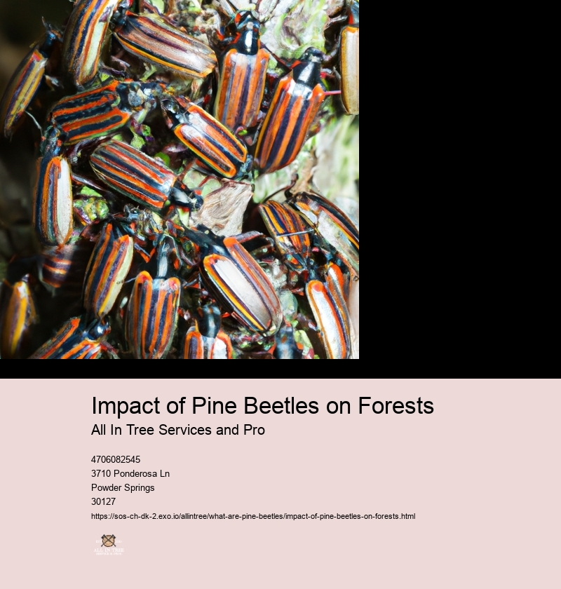 Impact of Pine Beetles on Forests