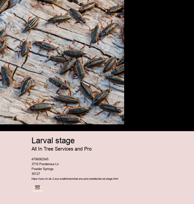Larval stage