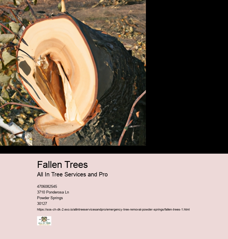 Fallen Trees