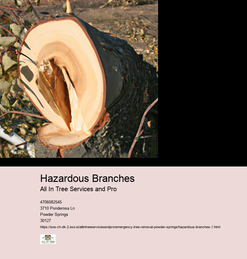 Hazardous Branches