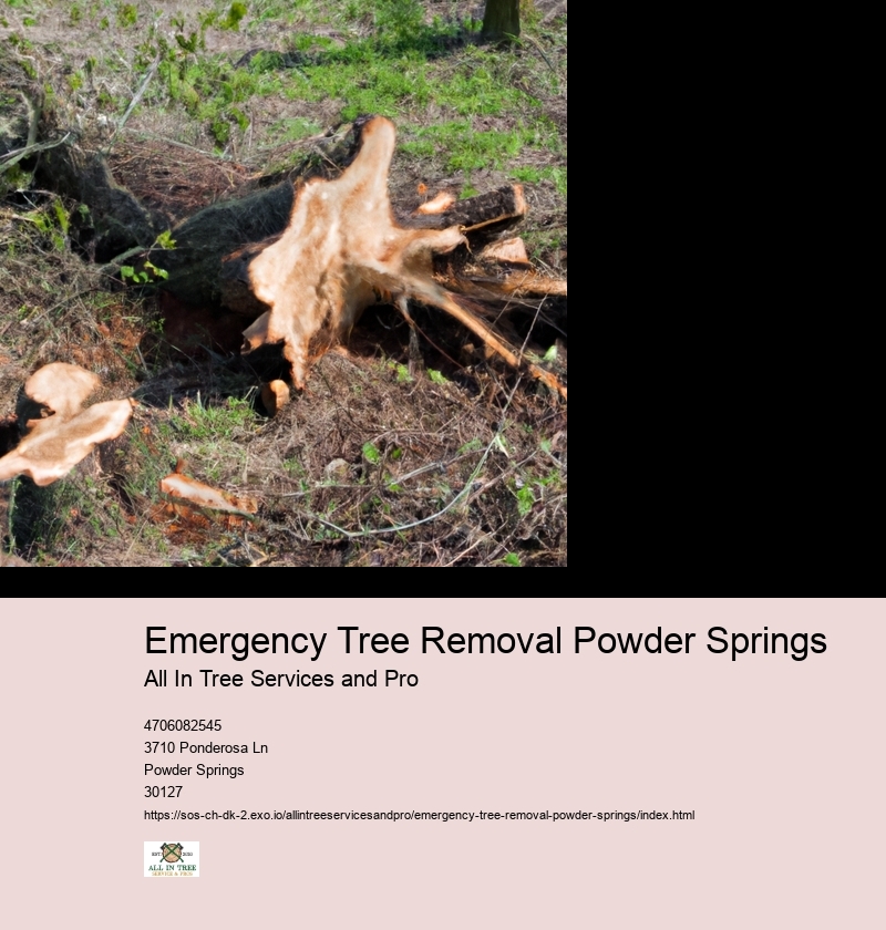 Emergency Tree Removal Powder Springs