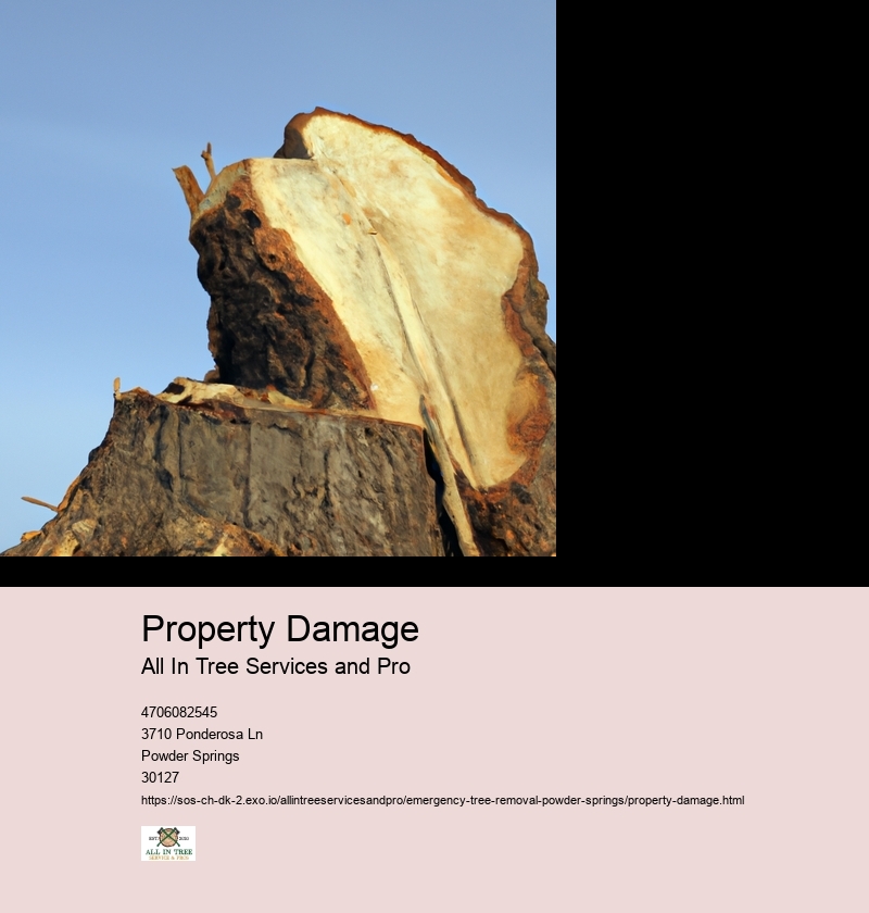 Property Damage
