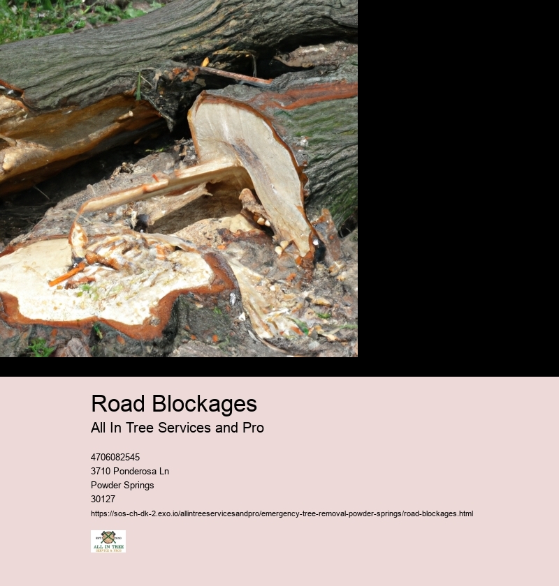 Road Blockages