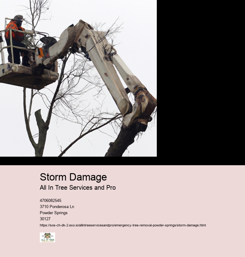 Storm Damage