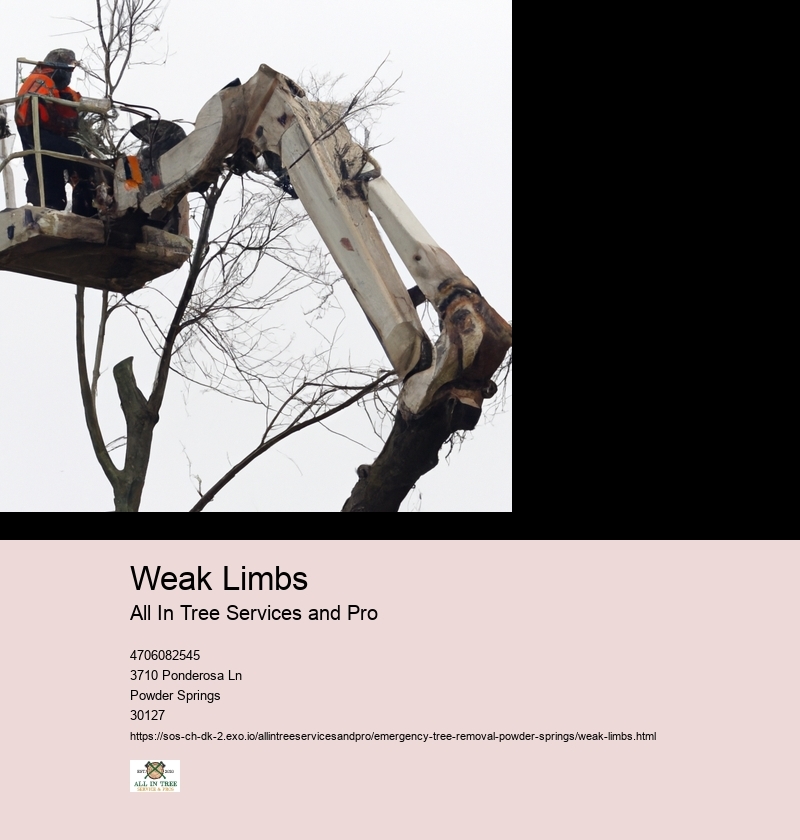 Weak Limbs