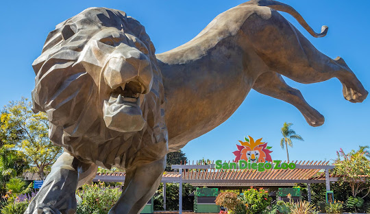 San Diego’s Landscape: Hills, Canyons, and Coastal Beauty