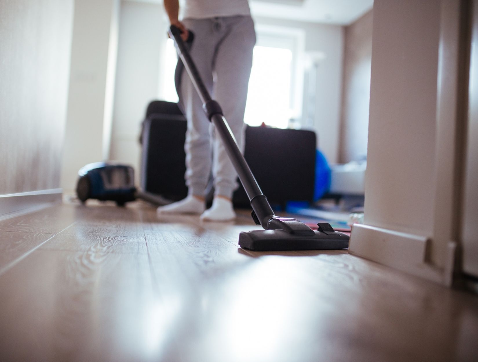 Pet Friendly Home Cleaning Solutions
