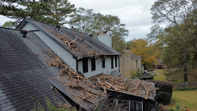 Maintaining and Updating Your Tree Service Insurance Coverage