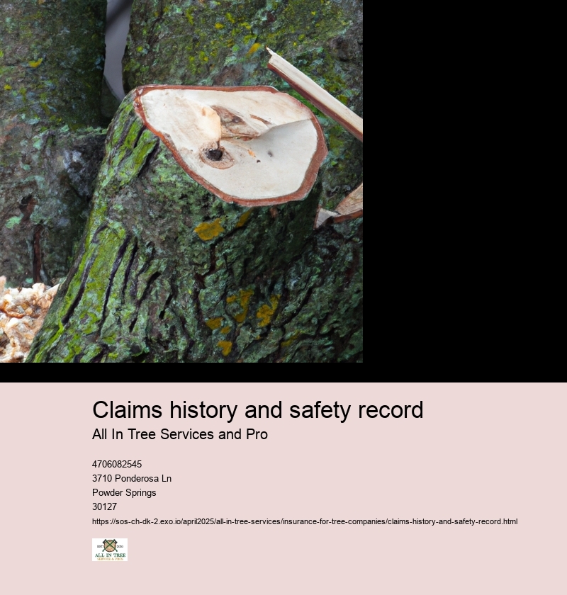 Claims history and safety record