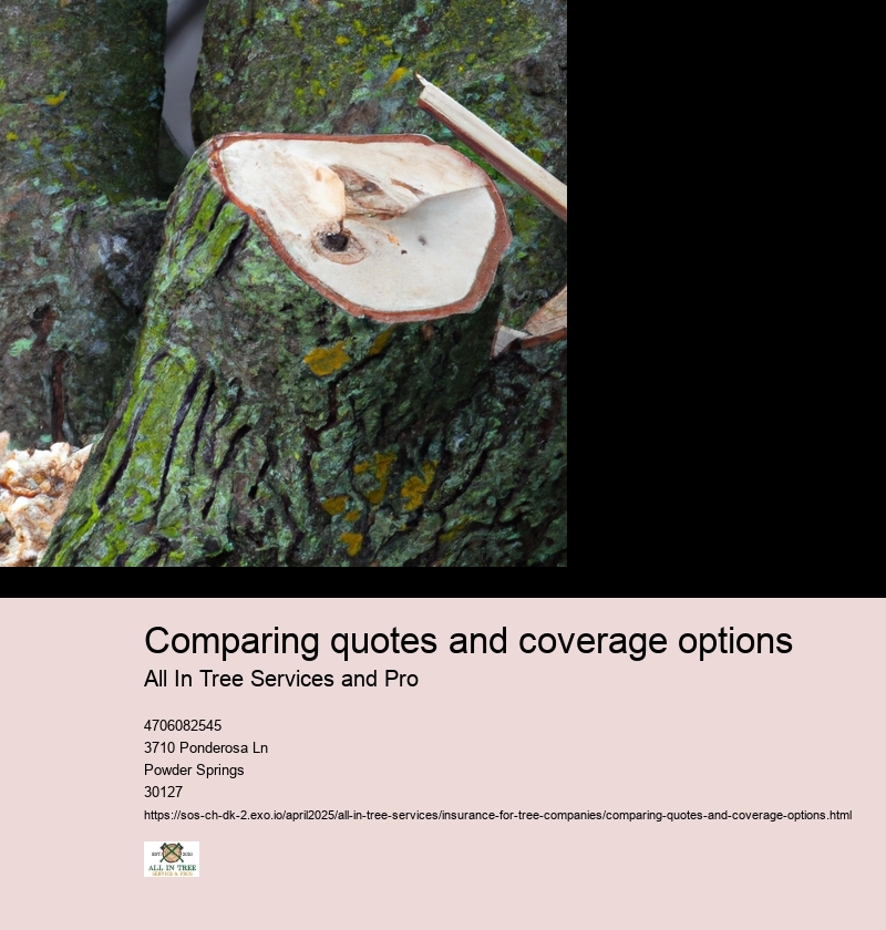 Comparing quotes and coverage options