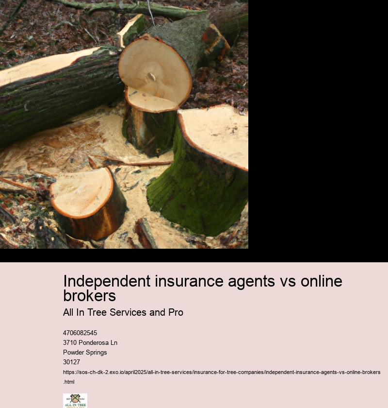 Independent insurance agents vs online brokers