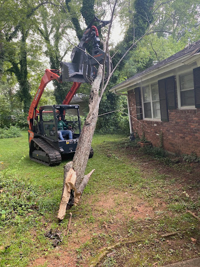 Equipment and Safety Precautions for Crown Thinning and Raising