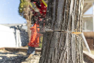 Tools and Equipment for Directional Felling