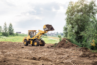 Stump Grinding and Root Removal