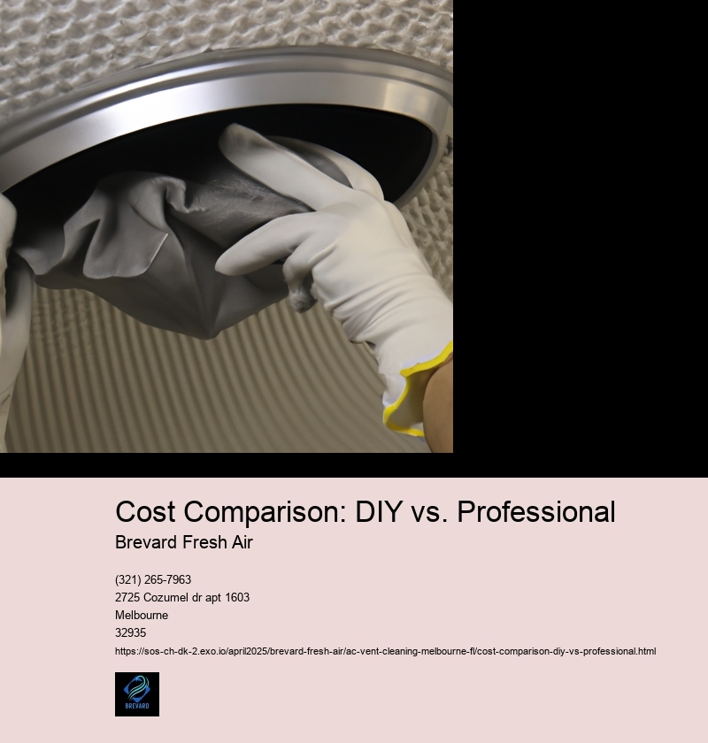 Cost Comparison: DIY vs. Professional