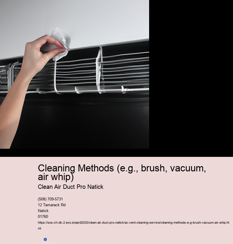 Cleaning Methods (e.g., brush, vacuum, air whip)