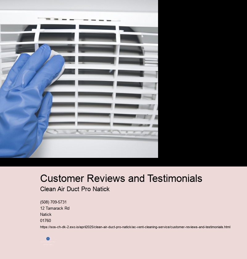 Customer Reviews and Testimonials