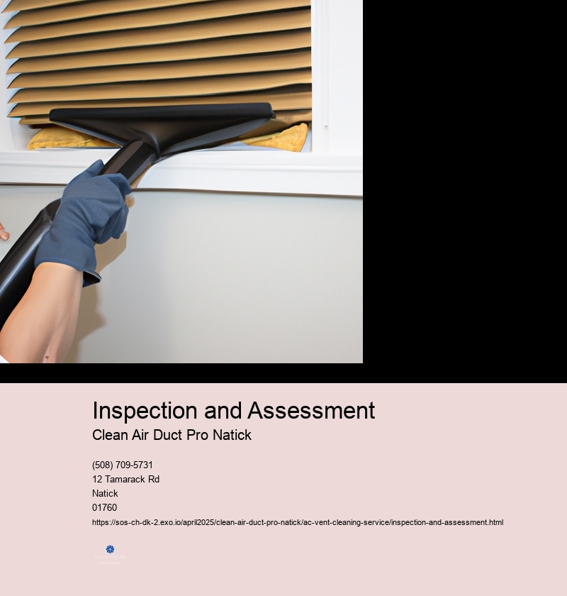 Inspection and Assessment