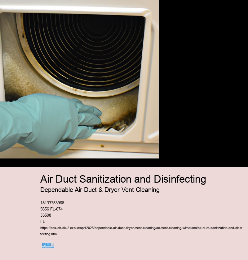 Air Duct Sanitization and Disinfecting