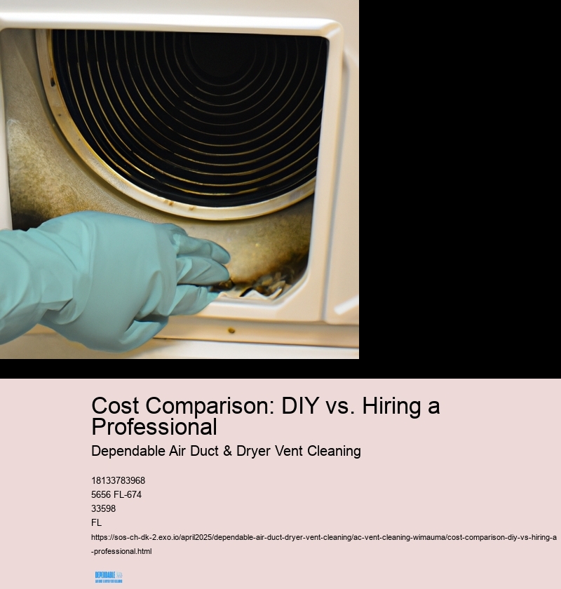 Cost Comparison: DIY vs. Hiring a Professional