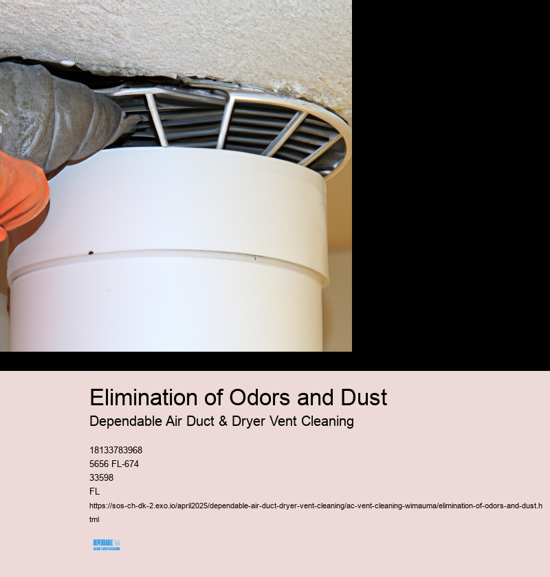 Elimination of Odors and Dust