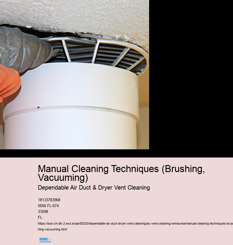 Manual Cleaning Techniques (Brushing, Vacuuming)