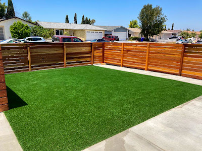 Insurance and Liability Coverage