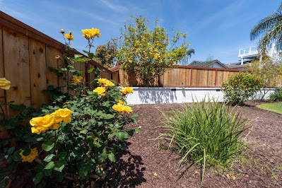How to Transform Your Drab Kitchen into a Chefs Paradise Without Breaking the Bank