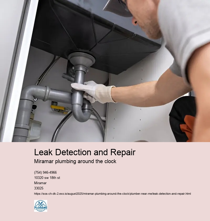 Leak Detection and Repair
